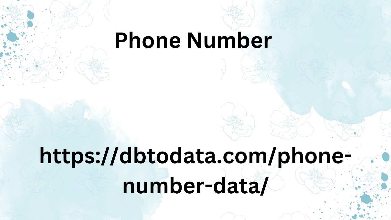 Phone Number