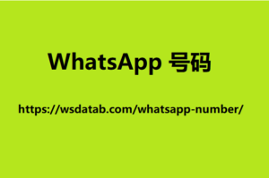 WhatsApp 号码 2