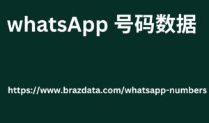 whatsApp 号码数据 