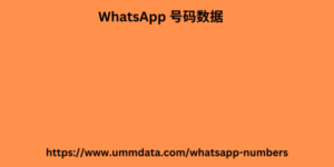 WhatsApp 号码数据