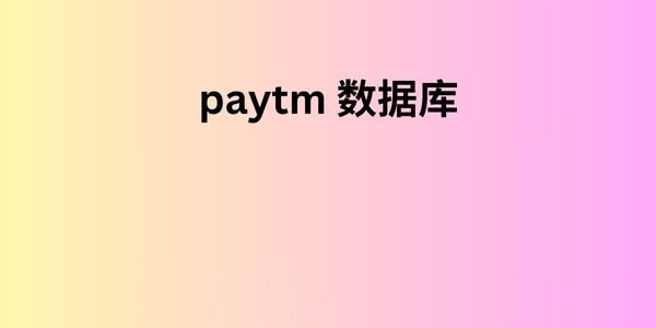 paytm 数据库