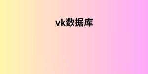 vk数据库